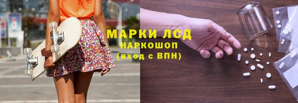СК Арсеньев