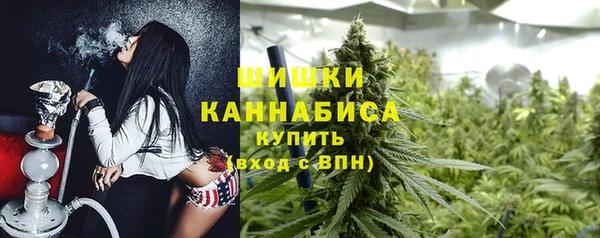 СК Арсеньев