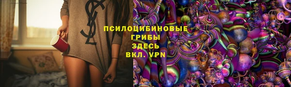 СК Арсеньев
