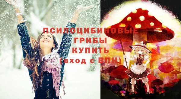 МДПВ Аркадак