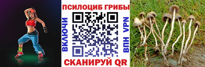 ссылка на мегу маркетплейс Рыбинск Псилоцибиновые грибы Magic Shrooms